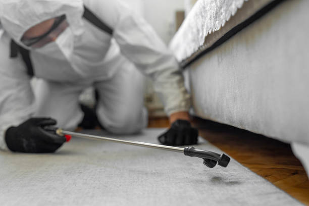 Professional Bed Bug Control technician working in Des Moines County County, IA